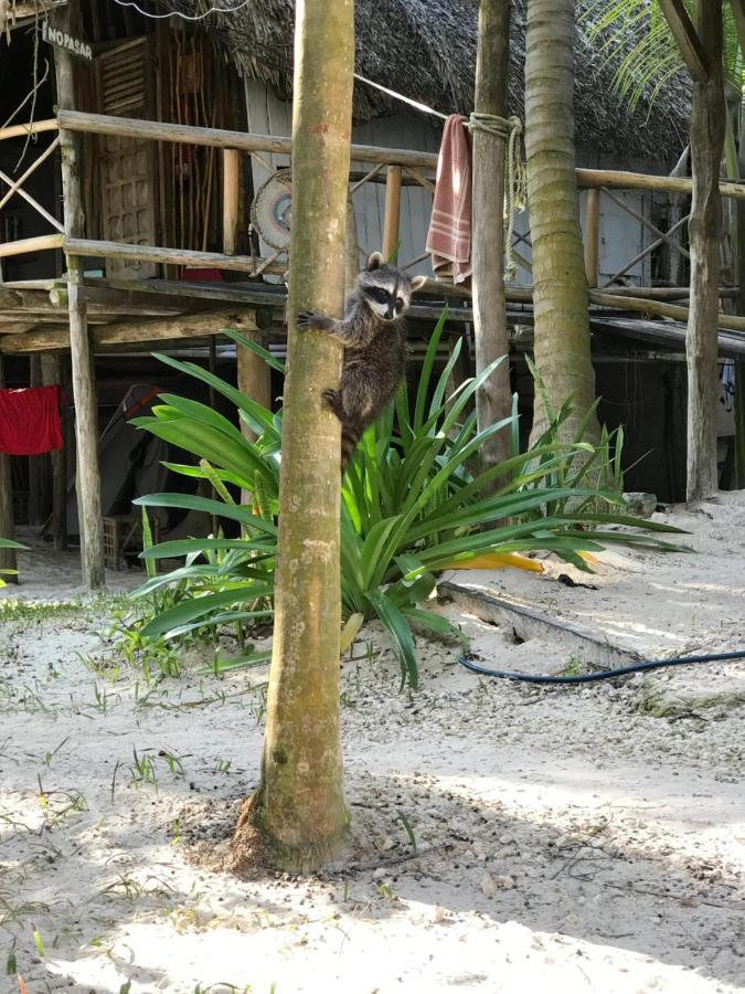 Chavez Eco Beach Camping And Cabanas Tulum Exterior photo