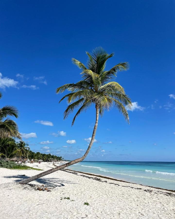 Chavez Eco Beach Camping And Cabanas Tulum Exterior photo